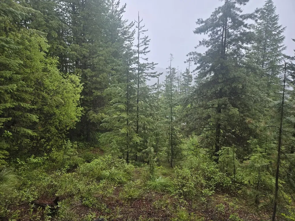 Lot 15 Nine Mile Road Huson MT 59846