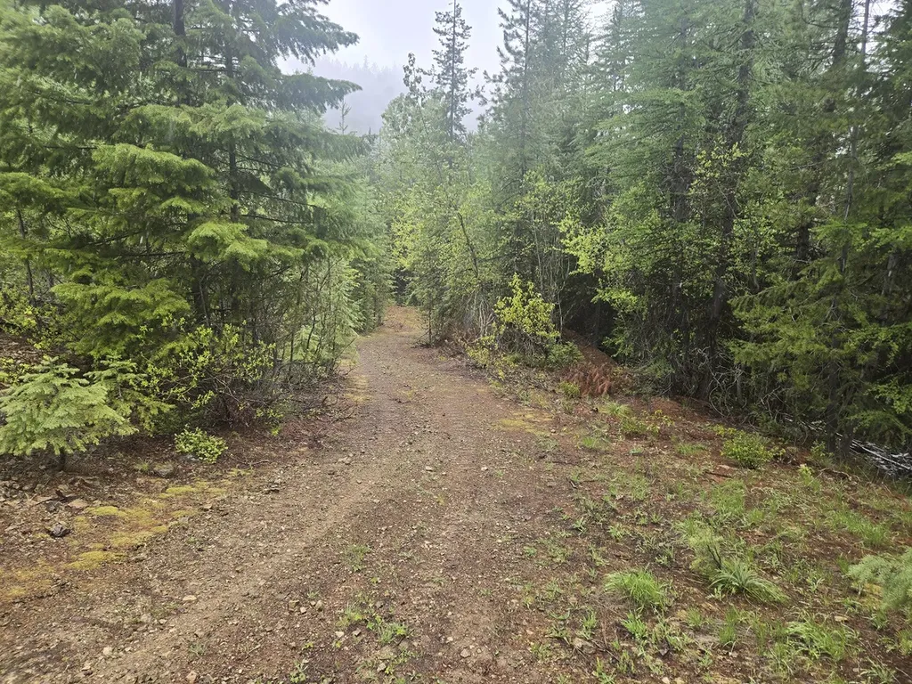 Lot 15 Nine Mile Road Huson MT 59846