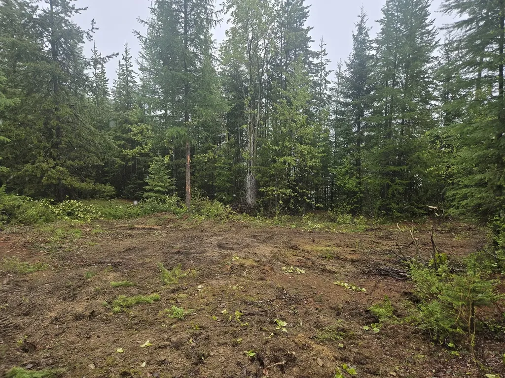 Lot 15 Nine Mile Road Huson MT 59846