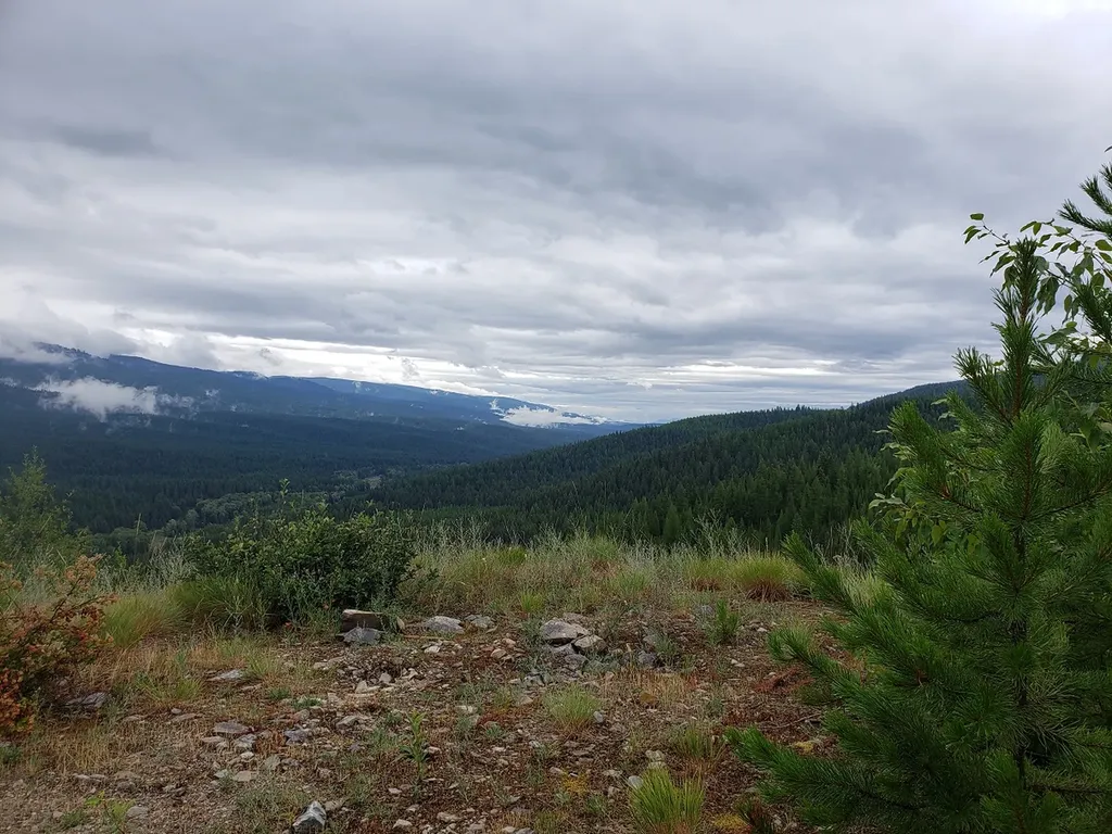 Lot 16 Nine Mile Road Huson MT 59846