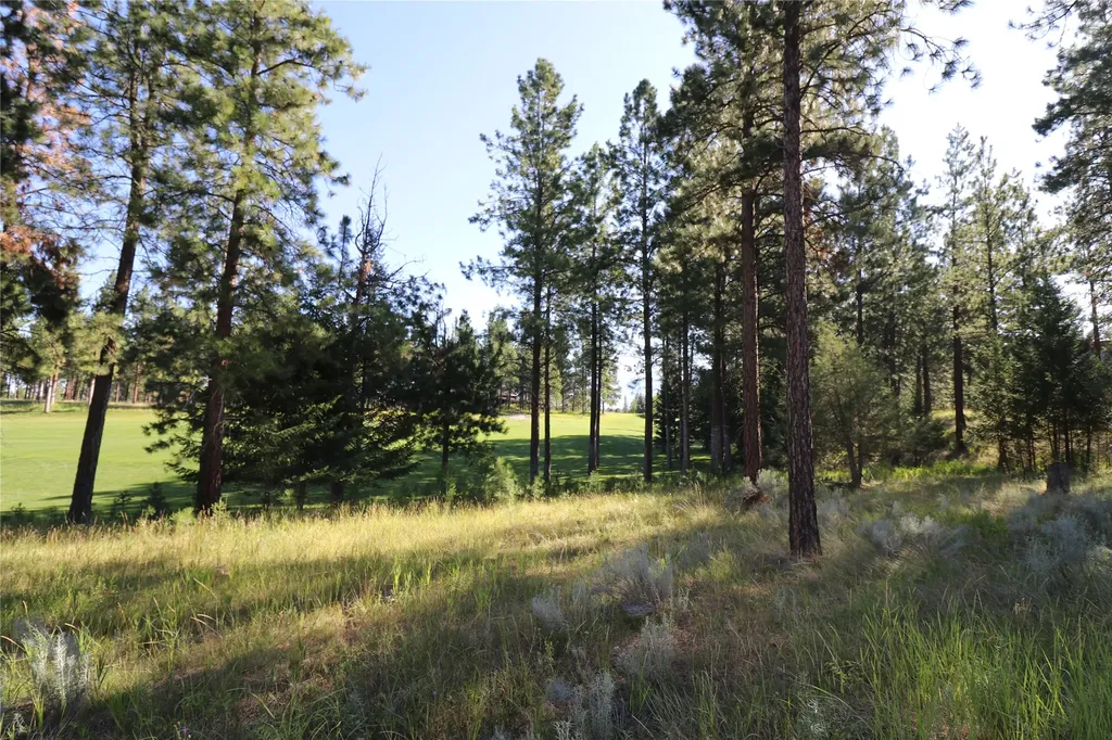 946 Wilderness Club Drive Eureka MT 59917