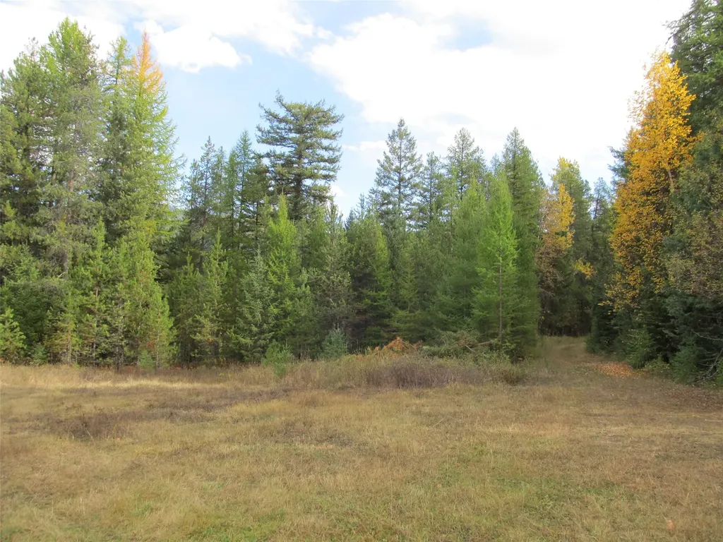 845/855 South Fork Road Martin City MT 59926