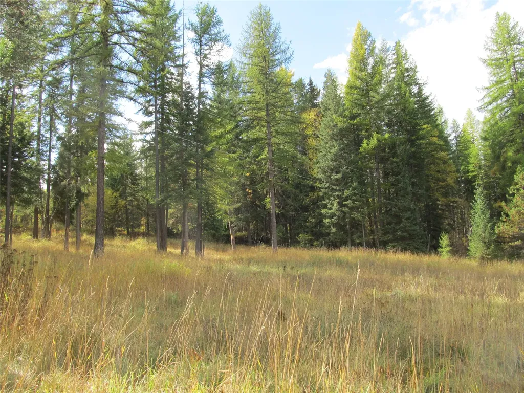 845/855 South Fork Road Martin City MT 59926