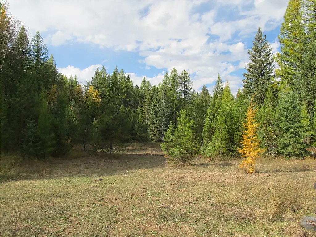845/855 South Fork Road Martin City MT 59926