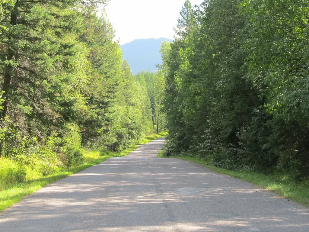 845/855 South Fork Road Martin City MT 59926