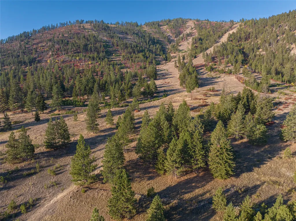 8744 Mcclain Creek Road Florence MT 59833