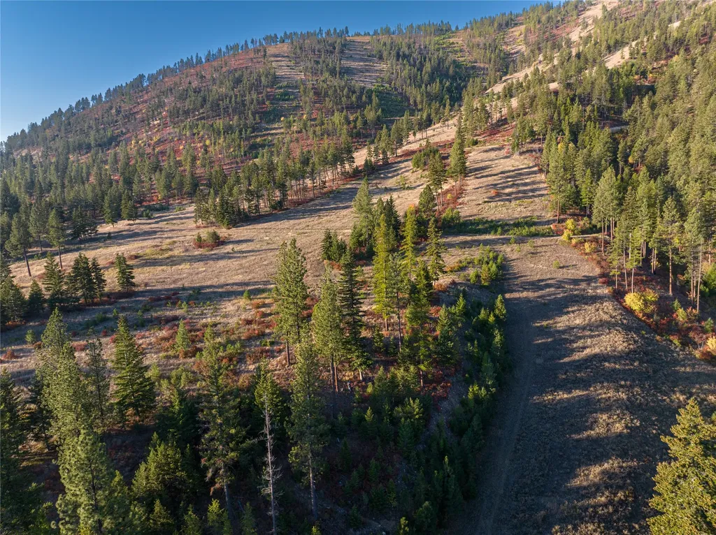 8744 Mcclain Creek Road Florence MT 59833
