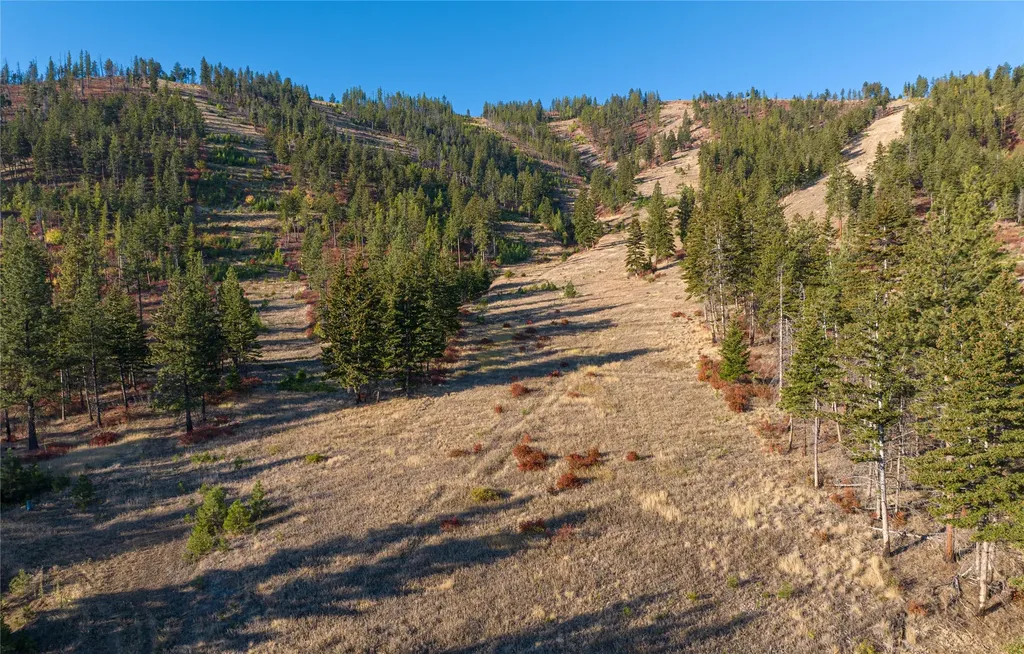 8744 Mcclain Creek Road Florence MT 59833