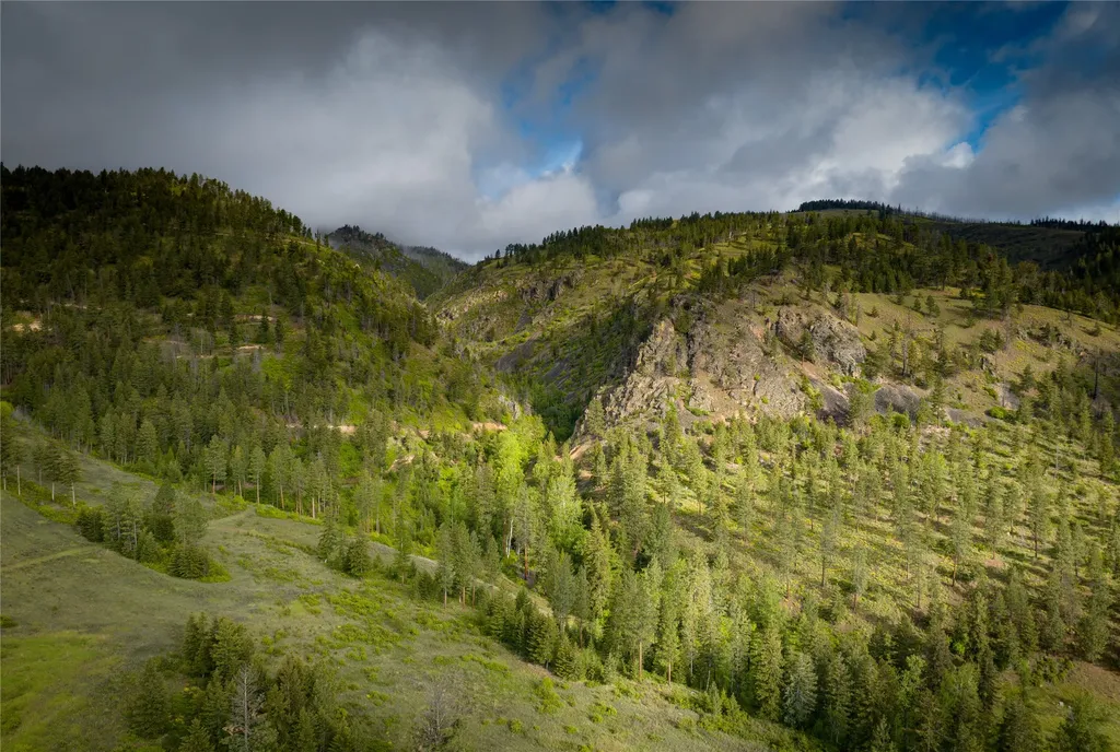 8744 Mcclain Creek Road Florence MT 59833