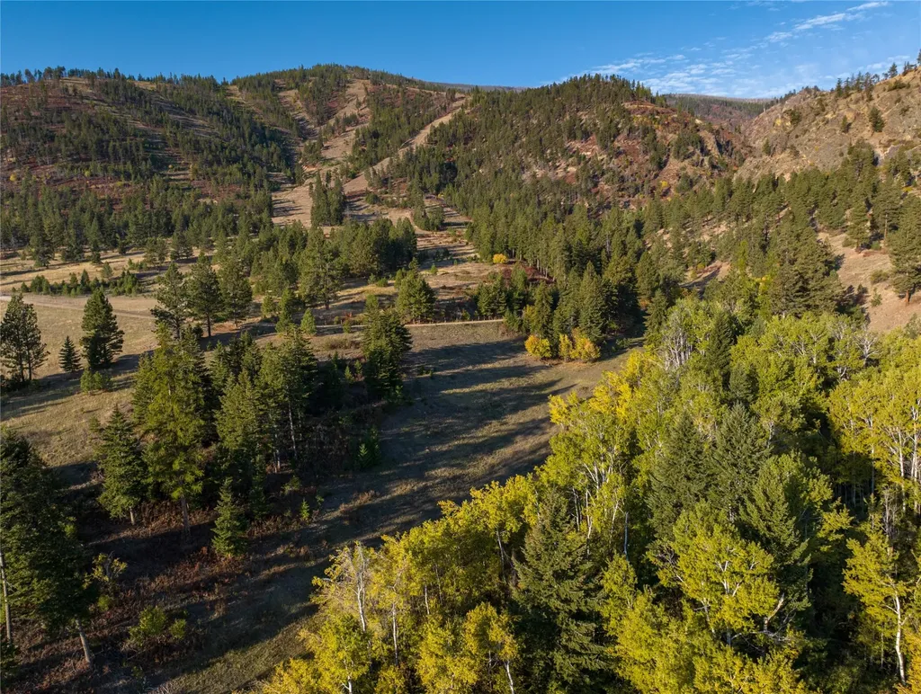 8744 Mcclain Creek Road Florence MT 59833