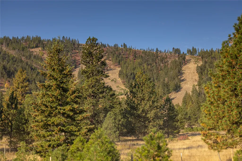 8744 Mcclain Creek Road Florence MT 59833