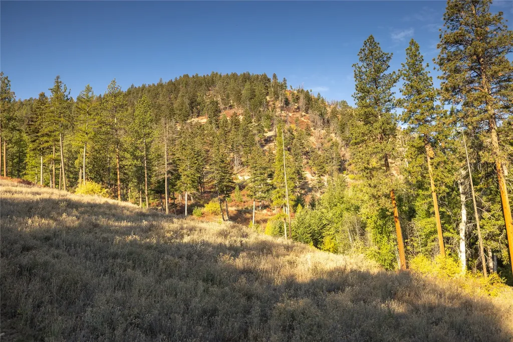 8744 Mcclain Creek Road Florence MT 59833