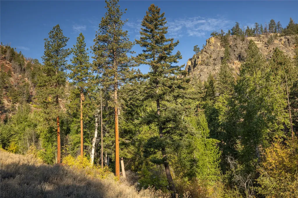 8744 Mcclain Creek Road Florence MT 59833