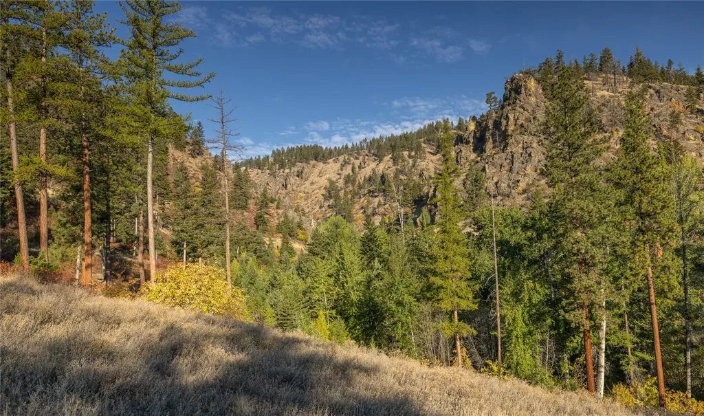 8744 Mcclain Creek Road Florence MT 59833
