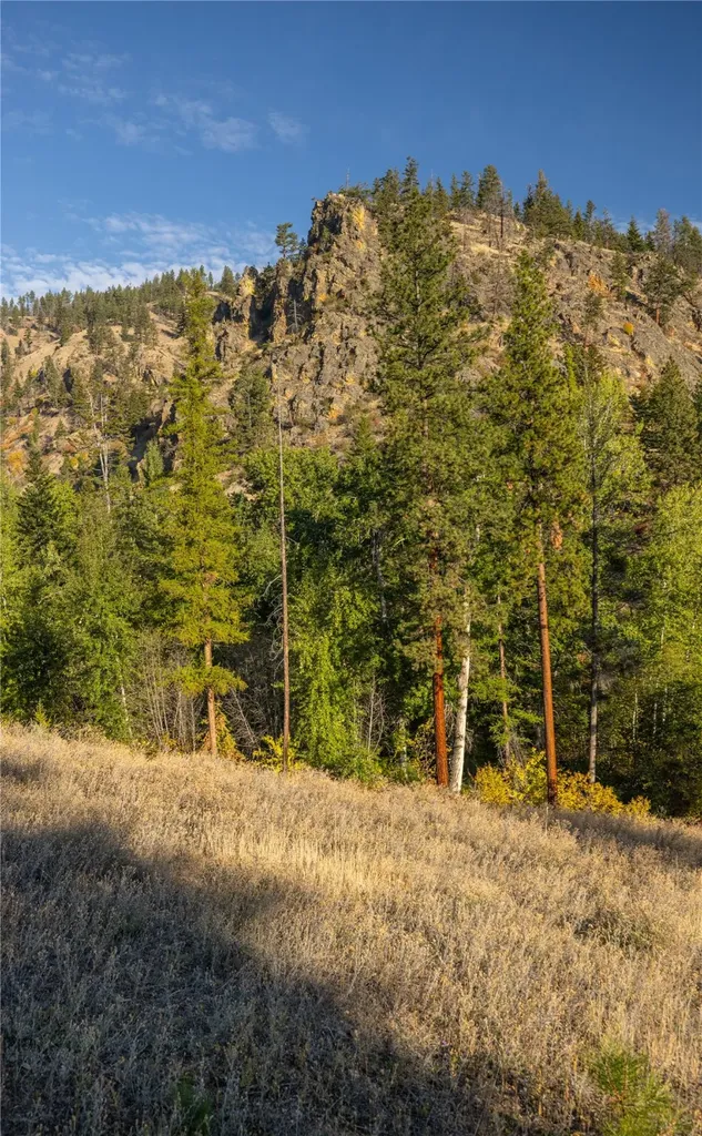 8744 Mcclain Creek Road Florence MT 59833