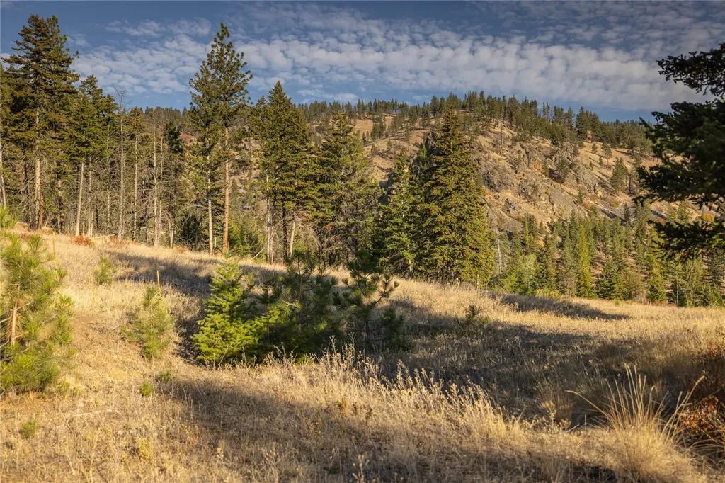 8744 Mcclain Creek Road Florence MT 59833