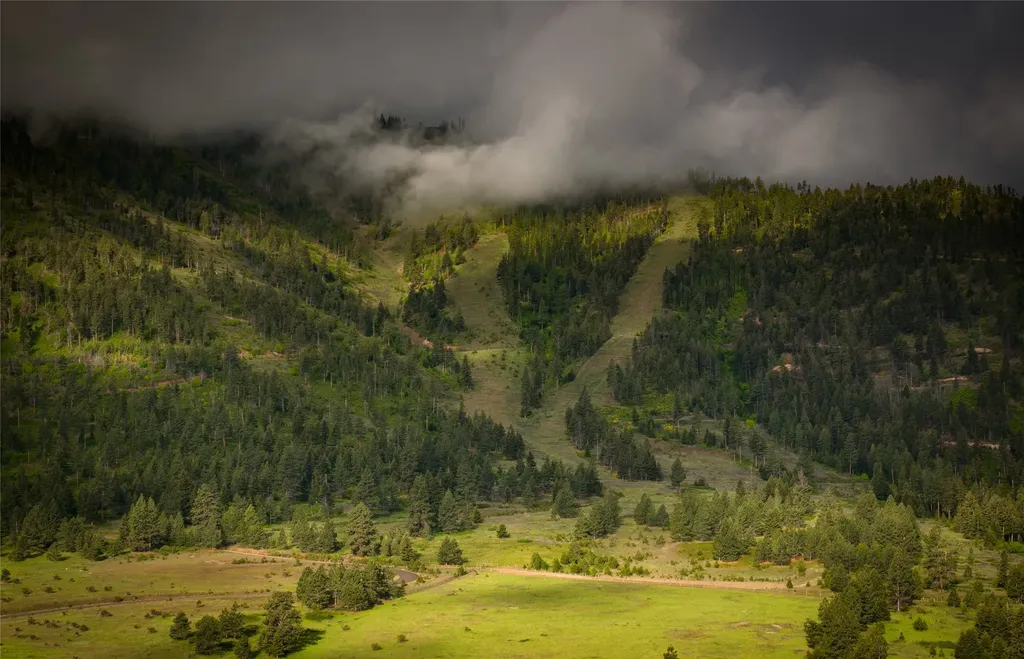 8744 Mcclain Creek Road Florence MT 59833