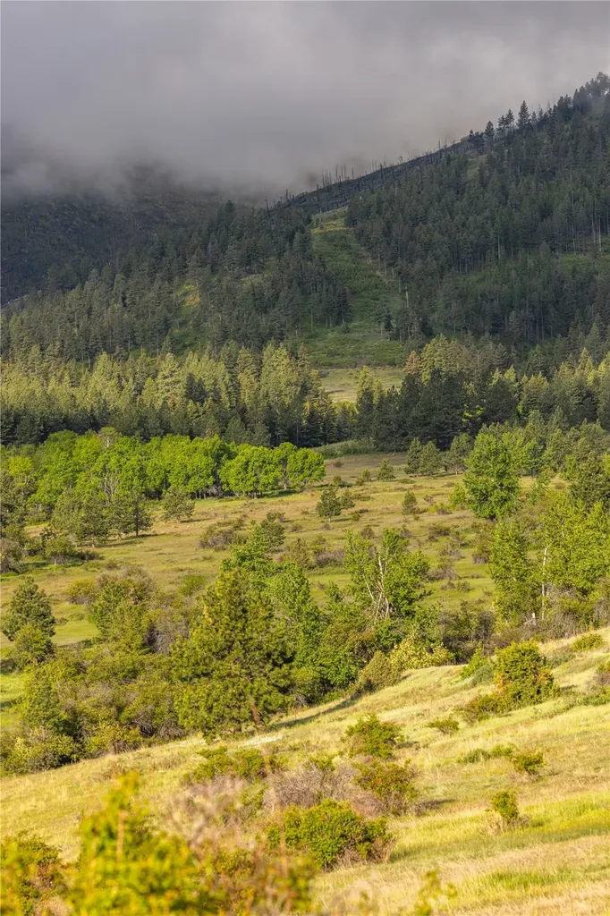 8744 Mcclain Creek Road Florence MT 59833