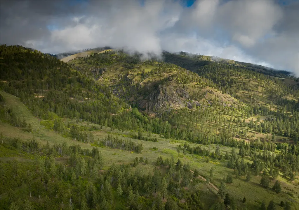 8744 Mcclain Creek Road Florence MT 59833