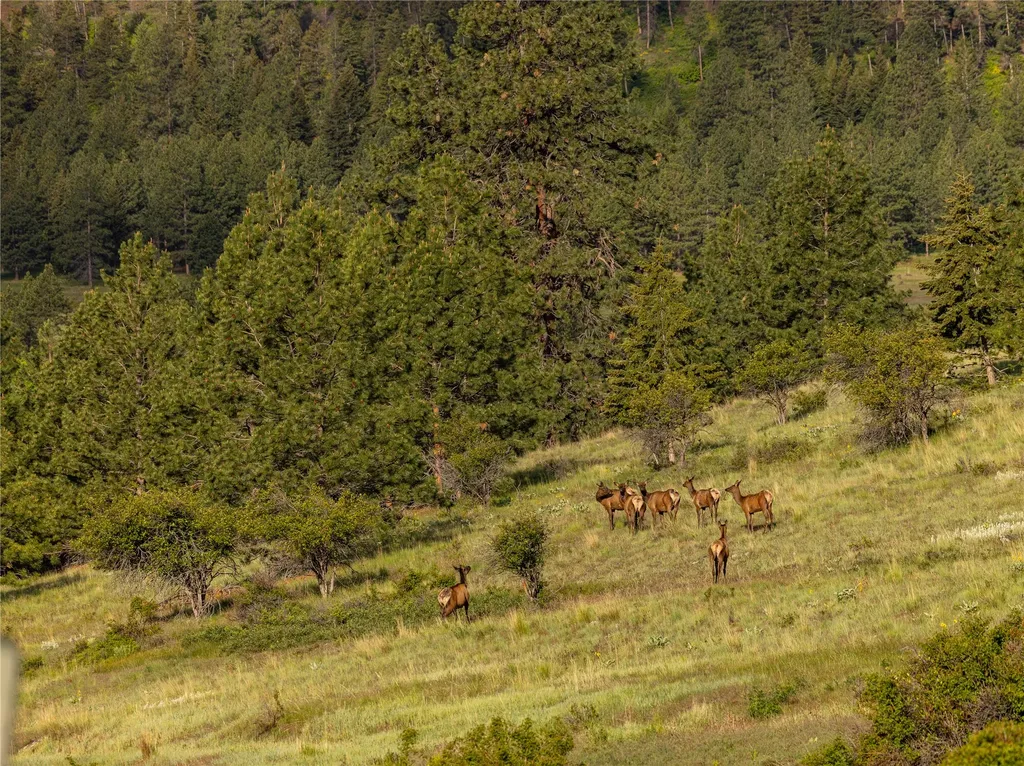 8744 Mcclain Creek Road Florence MT 59833