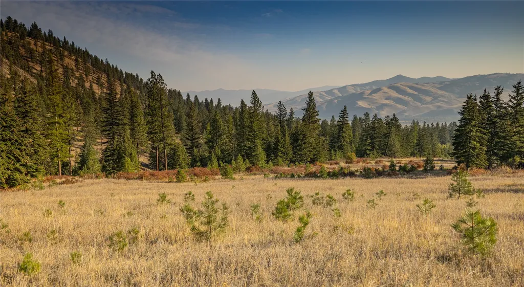 8744 Mcclain Creek Road Florence MT 59833