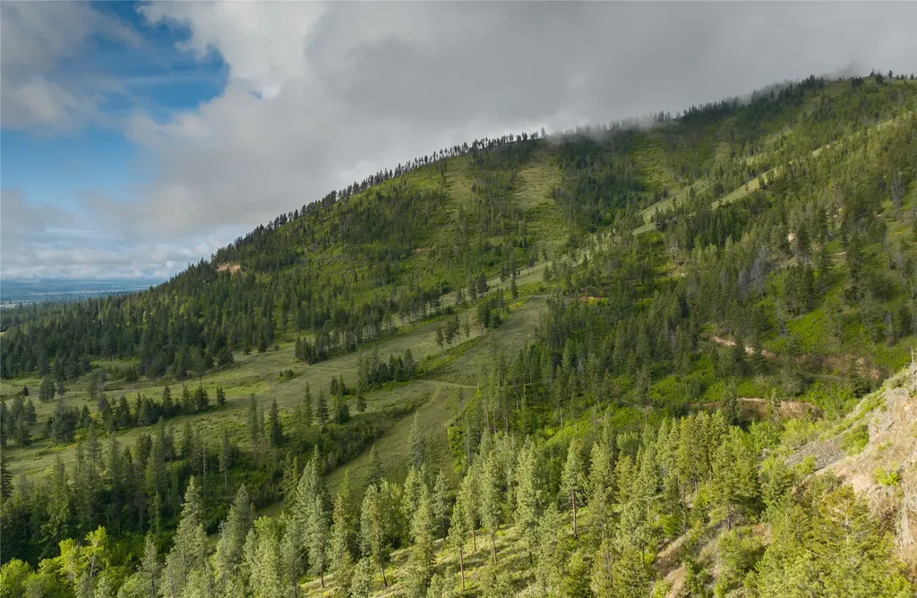 8744 Mcclain Creek Road Florence MT 59833