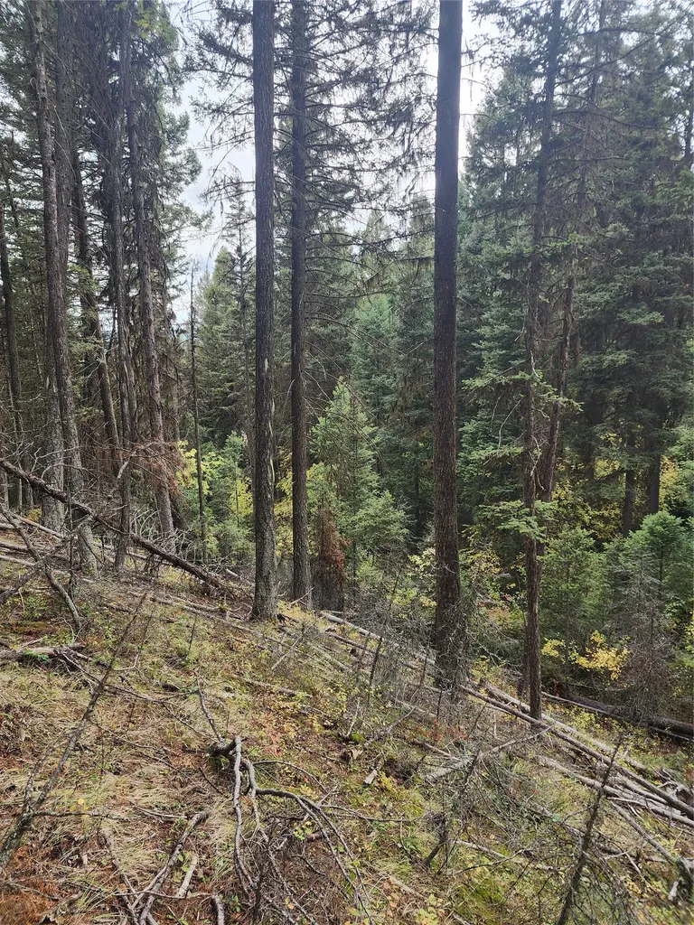 408 Montana View Drive Seeley Lake MT 59868
