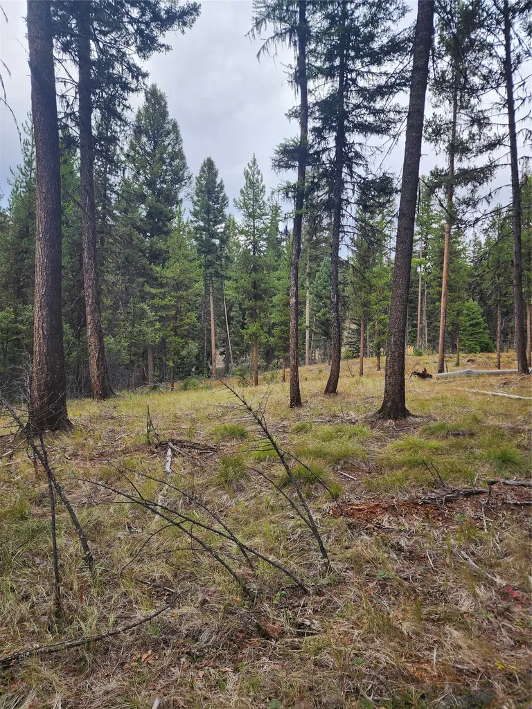 408 Montana View Drive Seeley Lake MT 59868