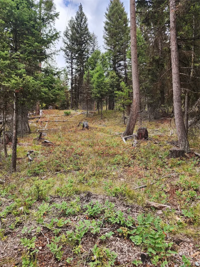 408 Montana View Drive Seeley Lake MT 59868