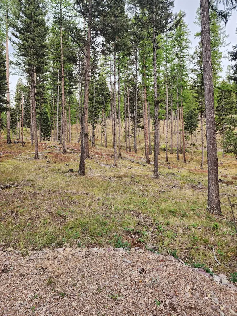 408 Montana View Drive Seeley Lake MT 59868