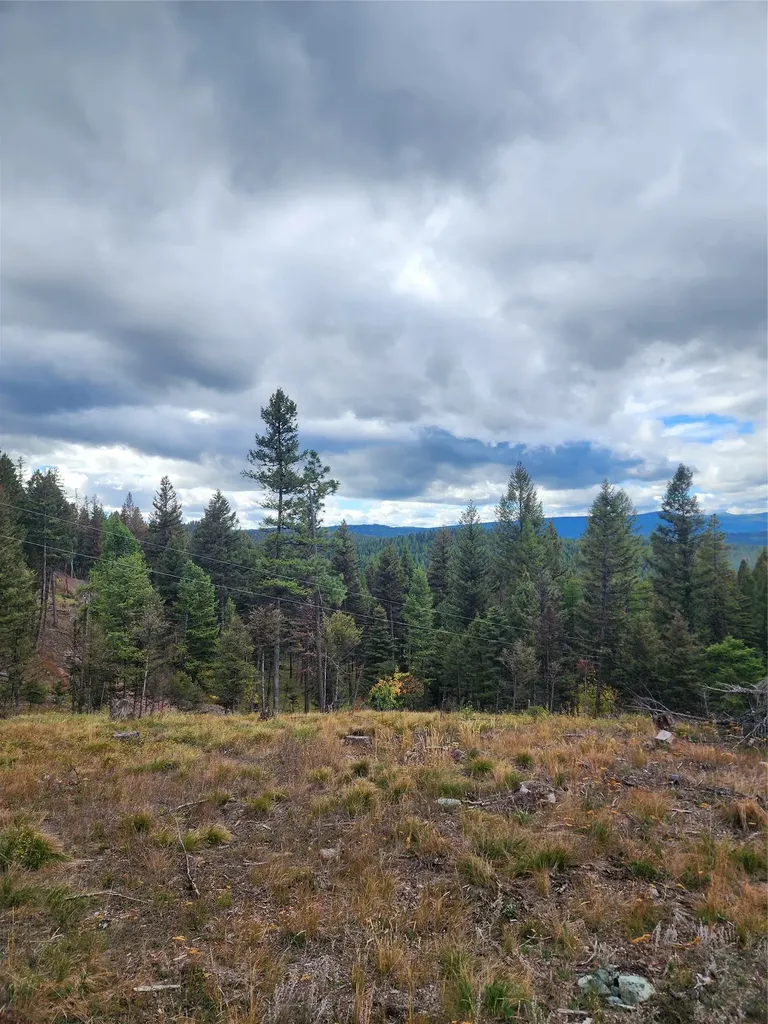 408 Montana View Drive Seeley Lake MT 59868