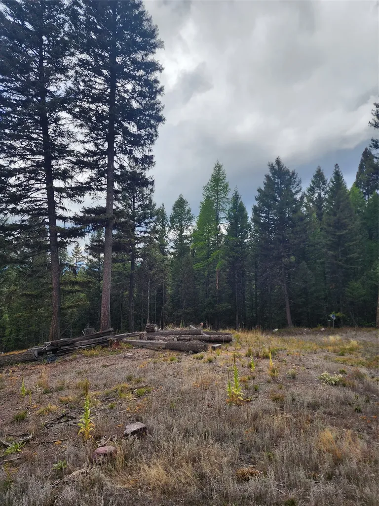408 Montana View Drive Seeley Lake MT 59868