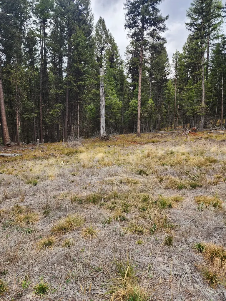 408 Montana View Drive Seeley Lake MT 59868