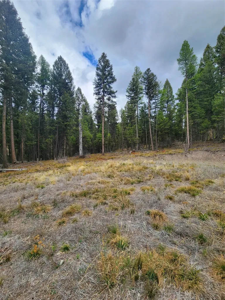 408 Montana View Drive Seeley Lake MT 59868