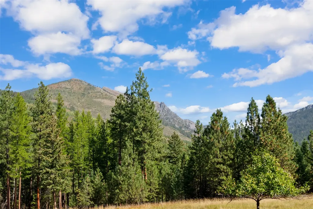 12697 Red Owl Trail N Bigfork MT 59911
