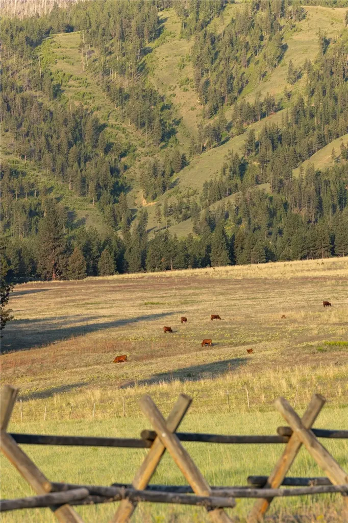8337 Lamar Trail Florence MT 59833
