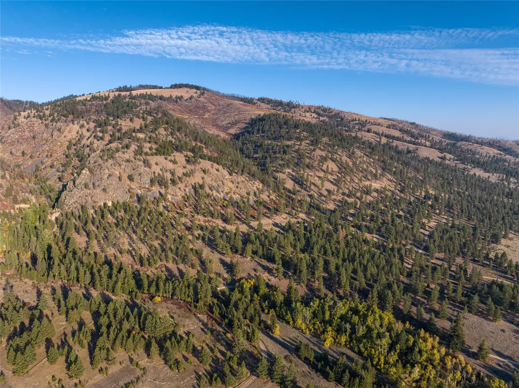 8337 Lamar Trail Florence MT 59833