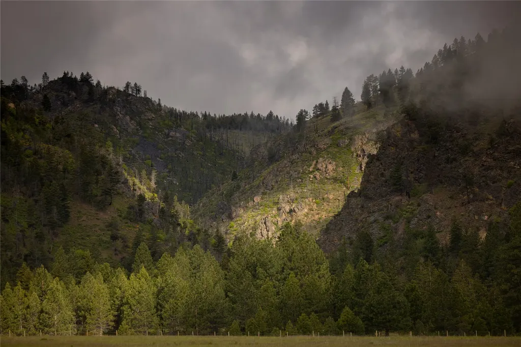 8337 Lamar Trail Florence MT 59833