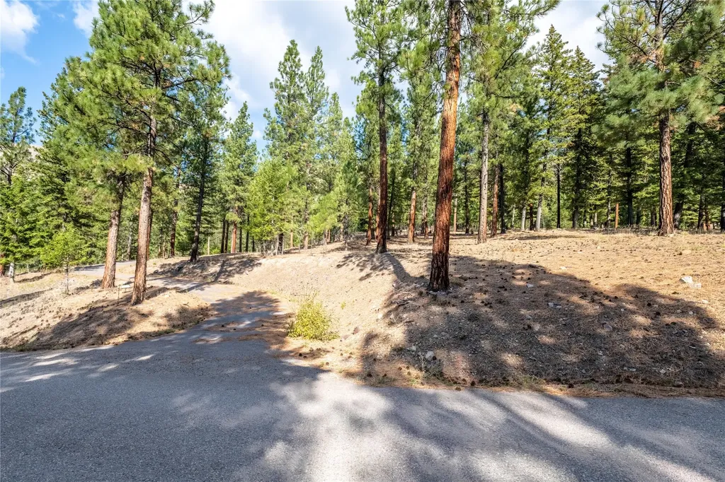 Lot 11 Stonefly Road Clinton MT 59825