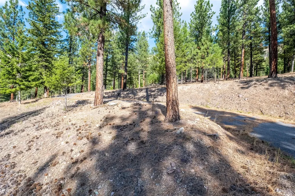Lot 11 Stonefly Road Clinton MT 59825