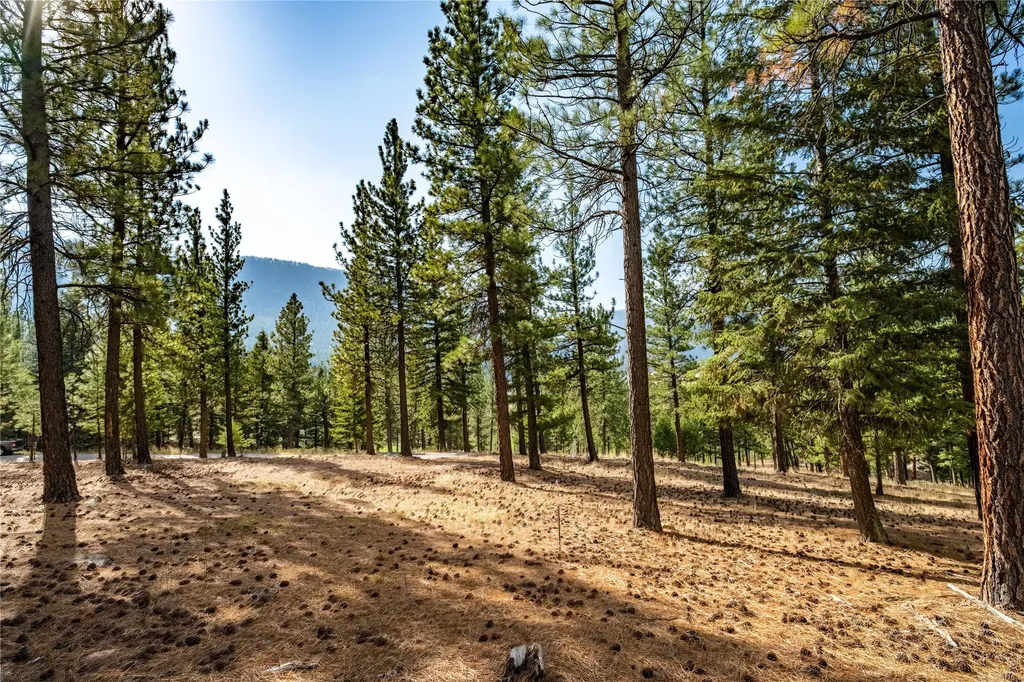 Lot 11 Stonefly Road Clinton MT 59825
