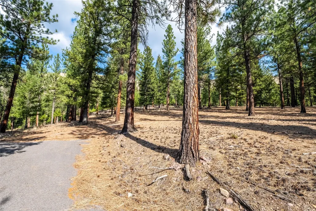 Lot 11 Stonefly Road Clinton MT 59825