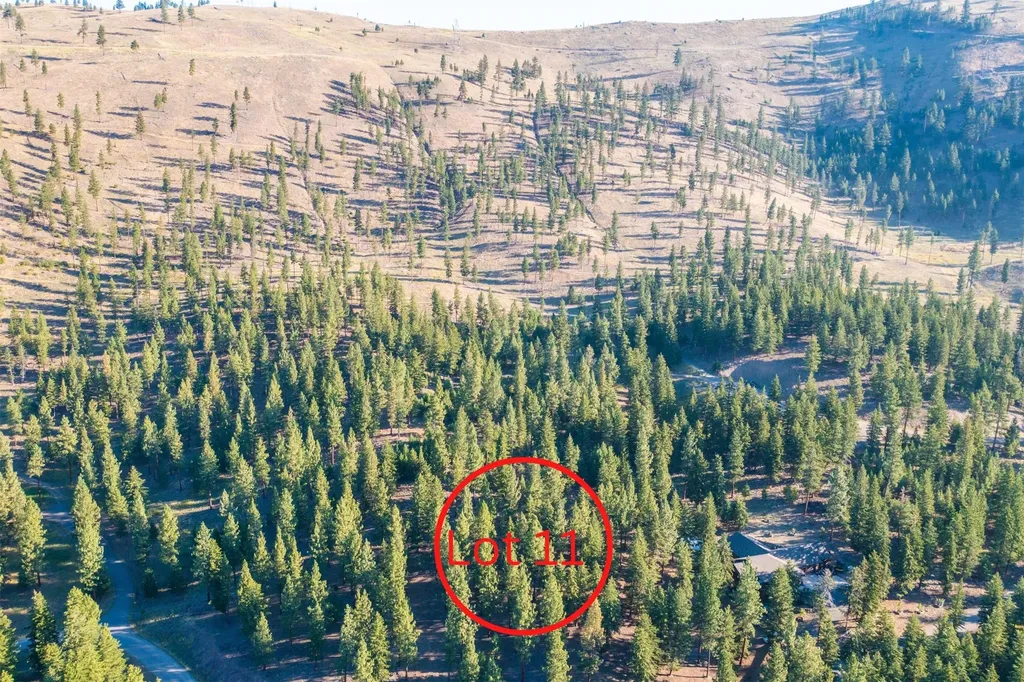 Lot 11 Stonefly Road Clinton MT 59825
