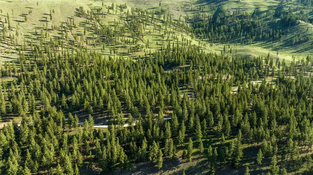 Lot 11 Stonefly Road Clinton MT 59825