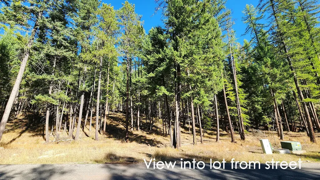122 Kinnikinnik Circle Whitefish MT 59937