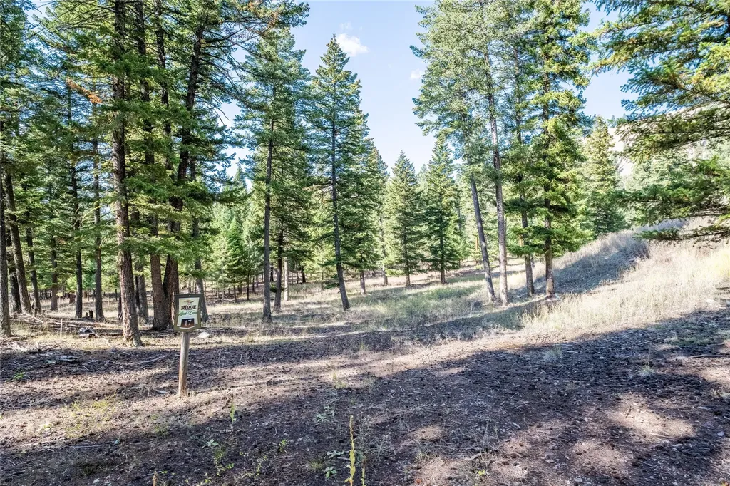 Lot 17 Caddisfly Court Clinton MT 59825