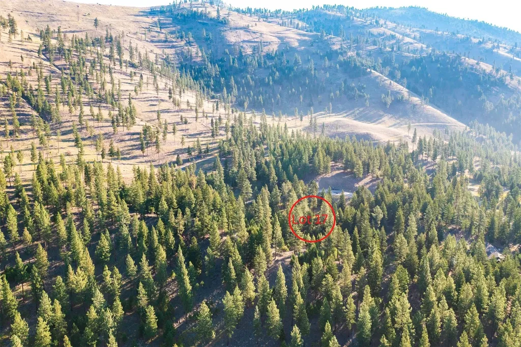 Lot 17 Caddisfly Court Clinton MT 59825