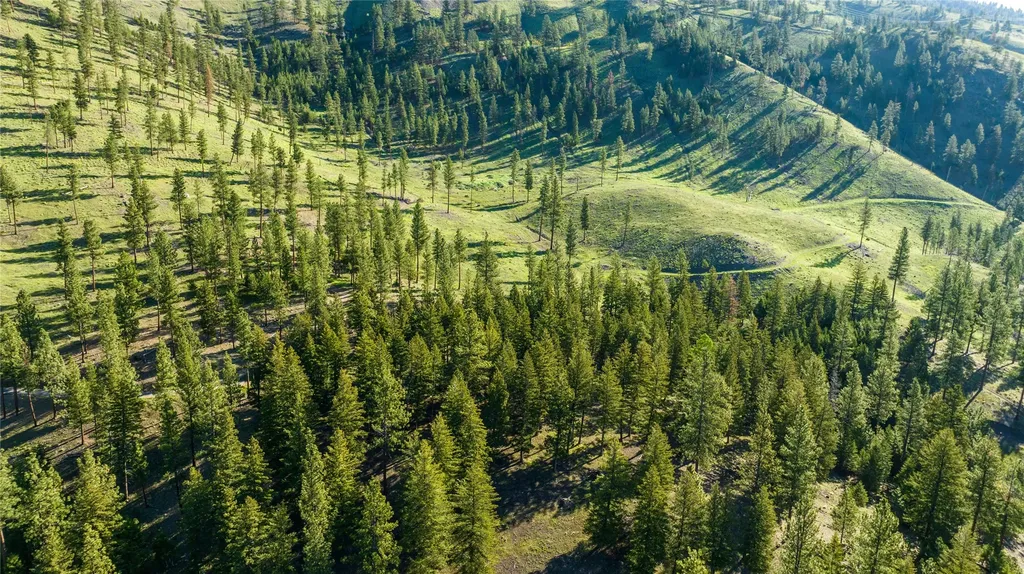 Lot 17 Caddisfly Court Clinton MT 59825