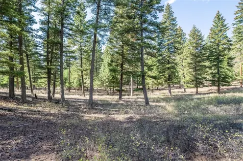 Lot 17 Caddisfly Court Clinton MT 59825