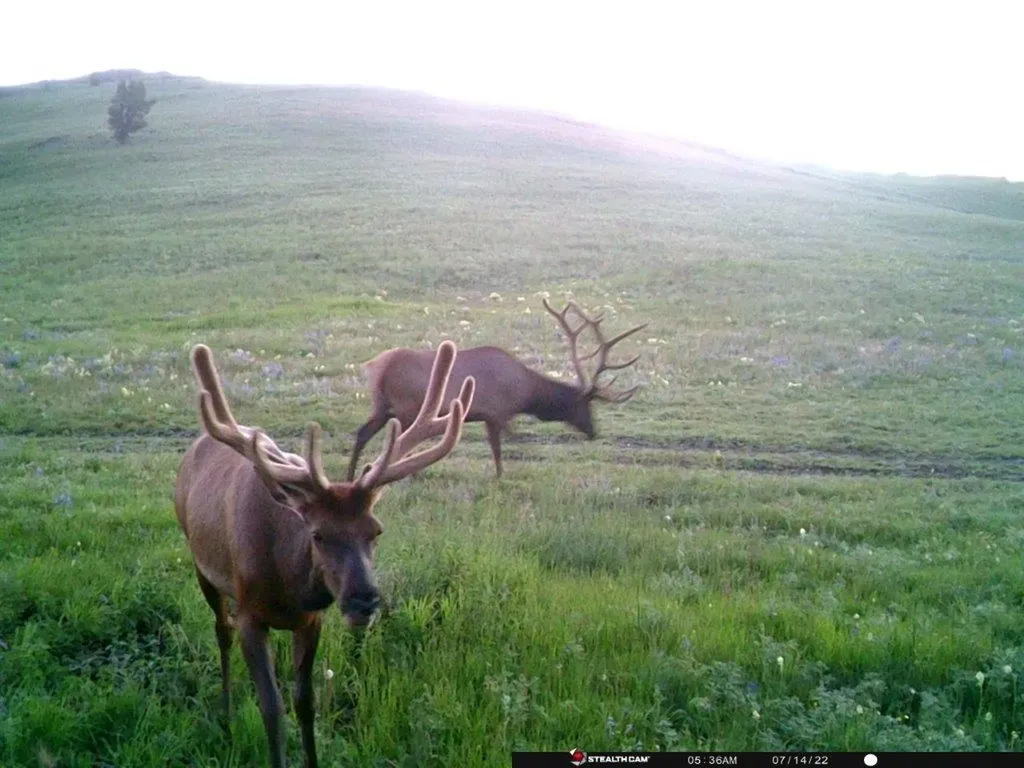 Tbd Indian Creek Road Townsend MT 59644